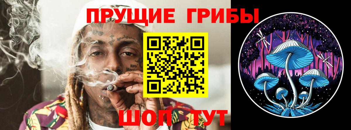 Псилоцибиновые грибы мухоморы  как найти закладки  Димитровград  Вход с VPN 